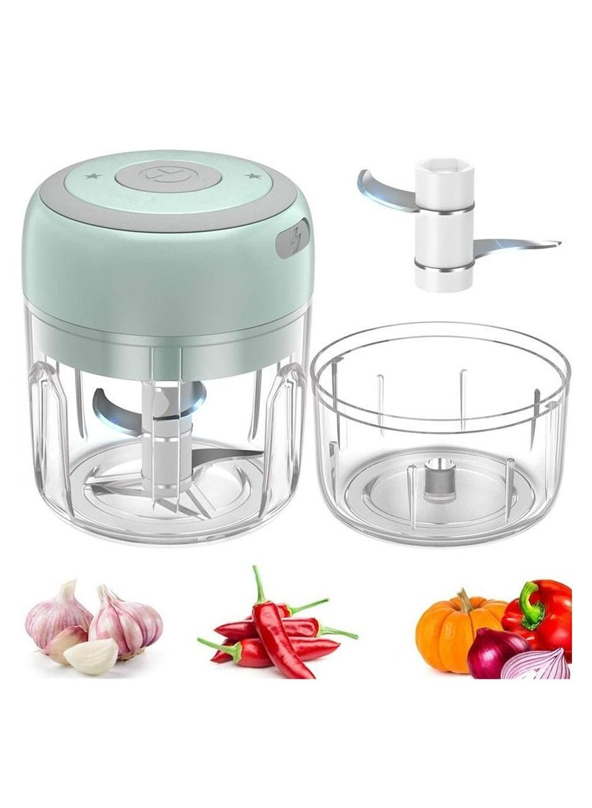 Electric Mini Food Chopper